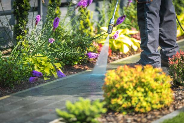 Trusted Danbury, TX Pressure Washing Experts